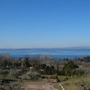 Bellini , Bardolino Italy